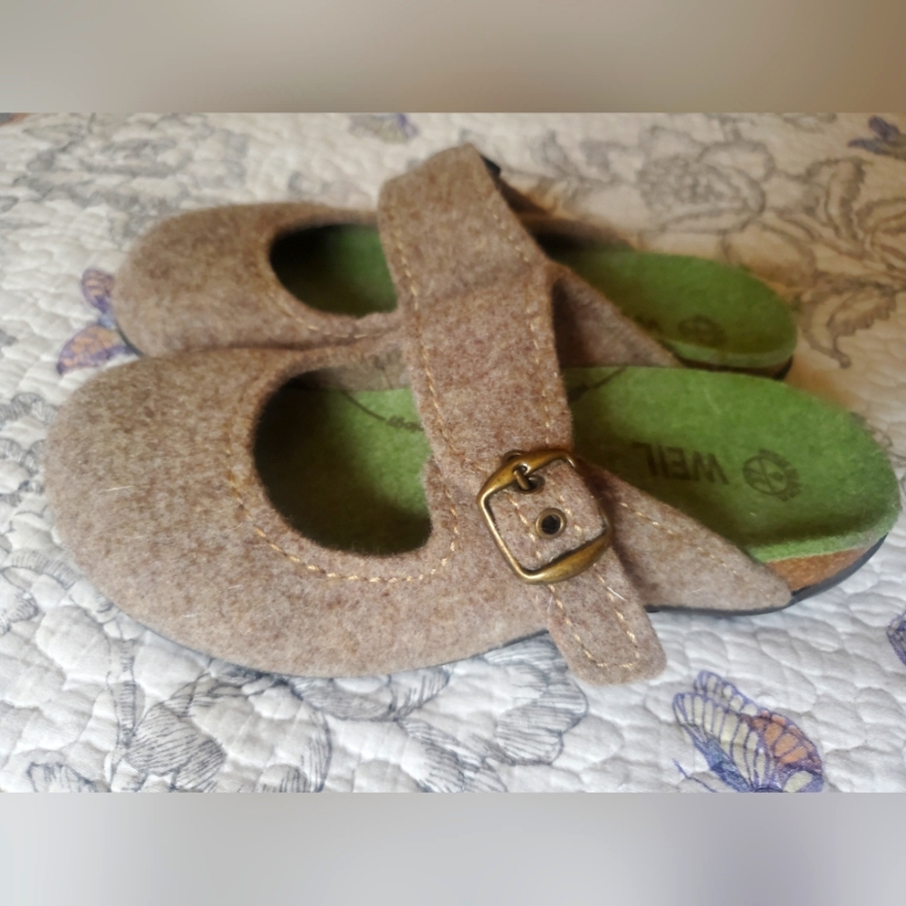 Dr Andrew Weil wool Mary Jane clogs